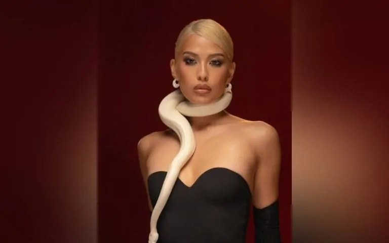 Michelle Dee: From Reigning Queen to Rising Star Debut